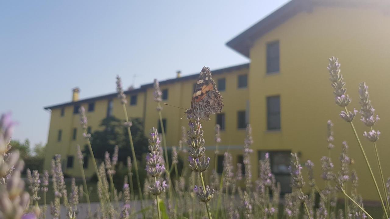 Agriturismo Ai Casali Apartment Palazzolo dello Stella Екстериор снимка